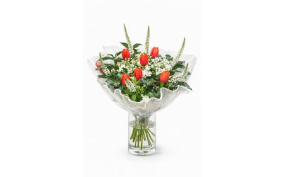 צבעוני באדום