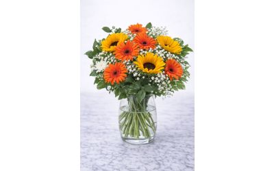 שקיעה כפרית