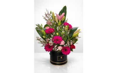 קופסא של אהבה