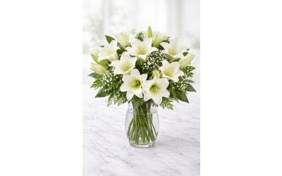 קלאסיקה בלבן