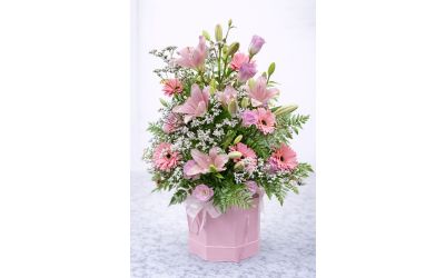 סימפוניה בוורוד