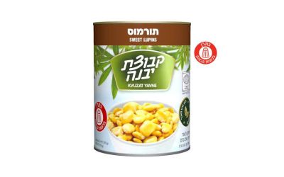 תורמוס 