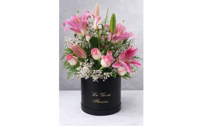 קופסא של אושר