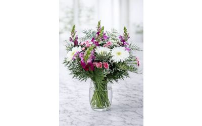 שקט של חורף