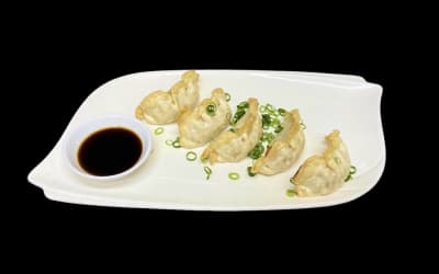 Gyoza with chicken
