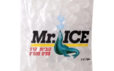 שקית קרח