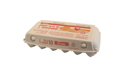 ביצים 18 יחידות L 
