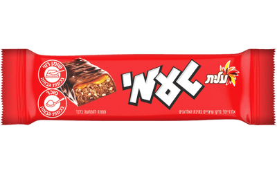 טעמי