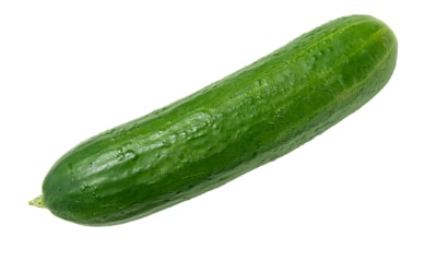 מלפפון