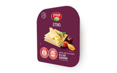 עמק-גאודה