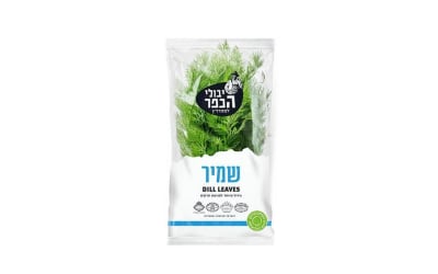 שמיר מהדרין