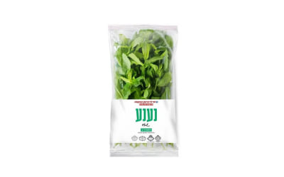 נענע מהדרין