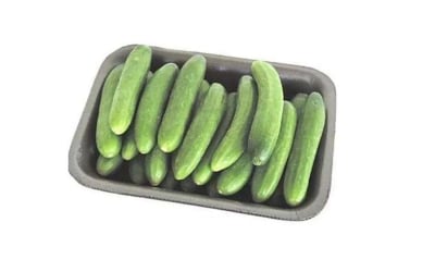 מלפפון בייבי מארז