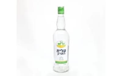 ארק איילה