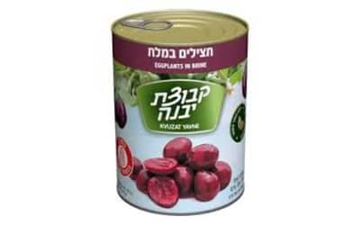 קבוצת יבנה חצילים במלח