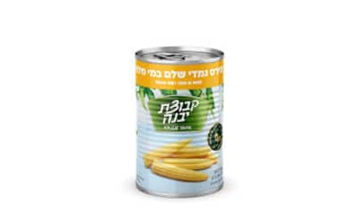 קבוצת יבנה תירס גמדי שלם במי מלח