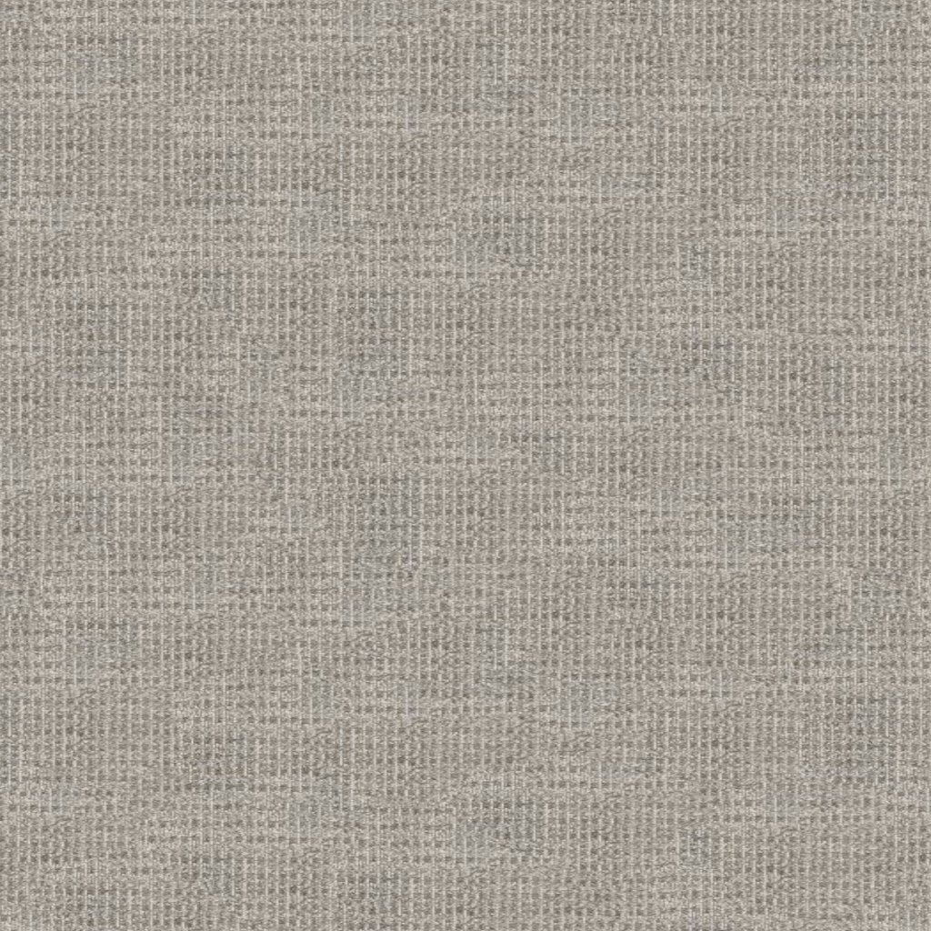 SIR LEON carpet by Stanton