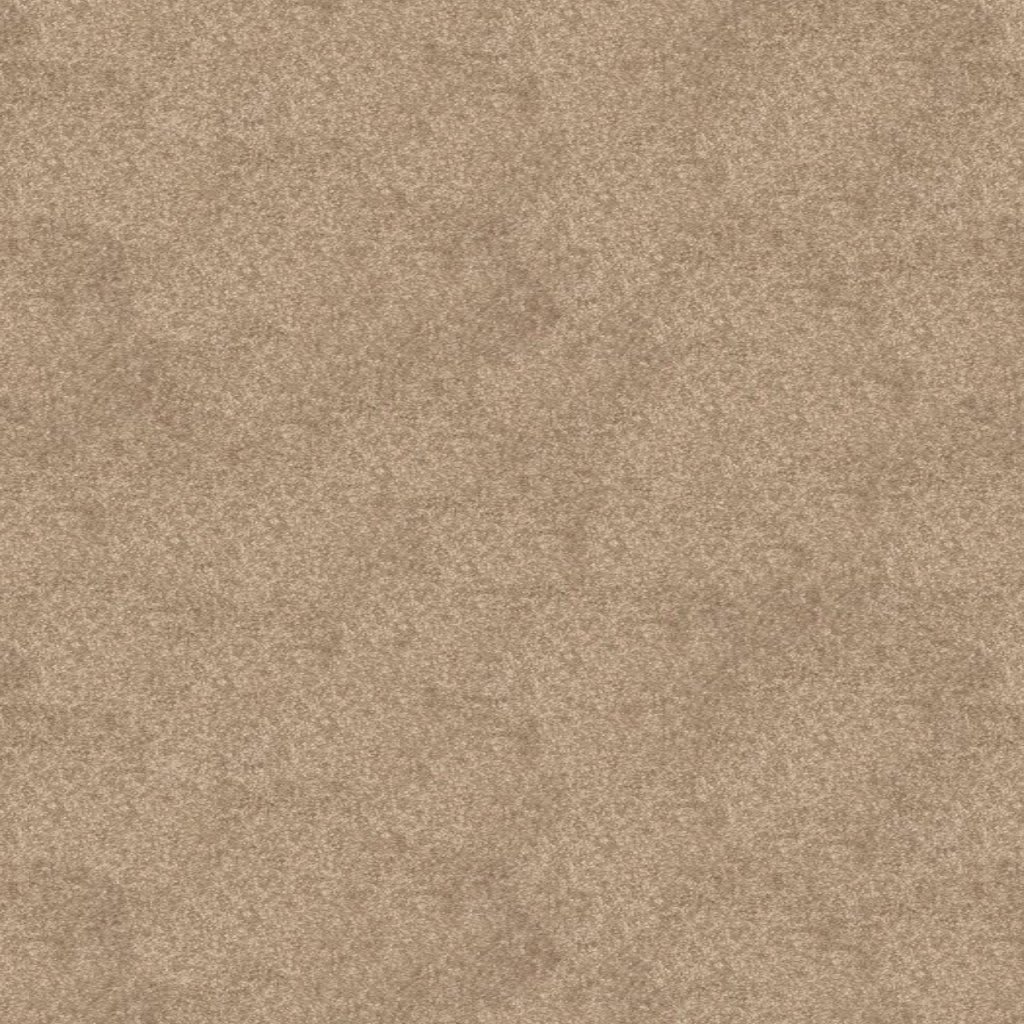 BRIGHT PROMISE carpet by Stanton