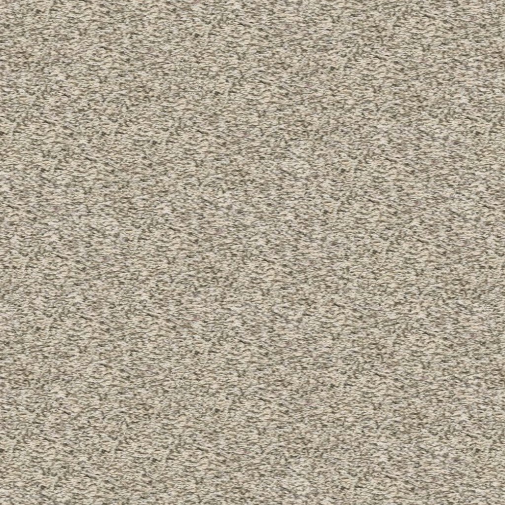 04-6088-V carpet by Stanton
