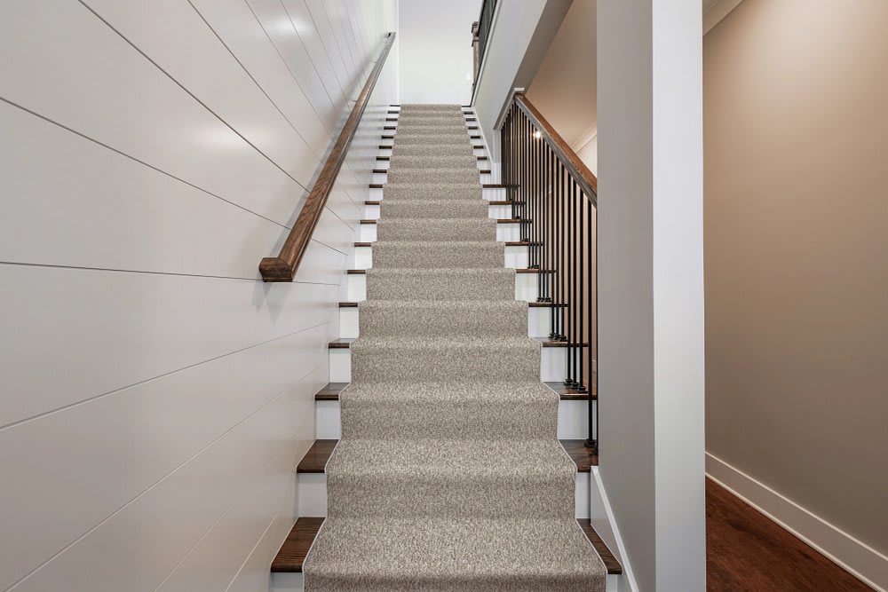 Terra Nova carpet by Anderson Tuftex