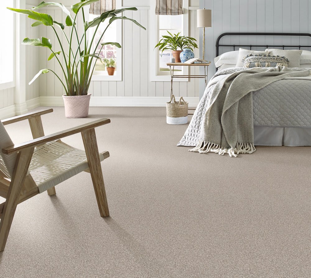 Terra Nova carpet by Anderson Tuftex