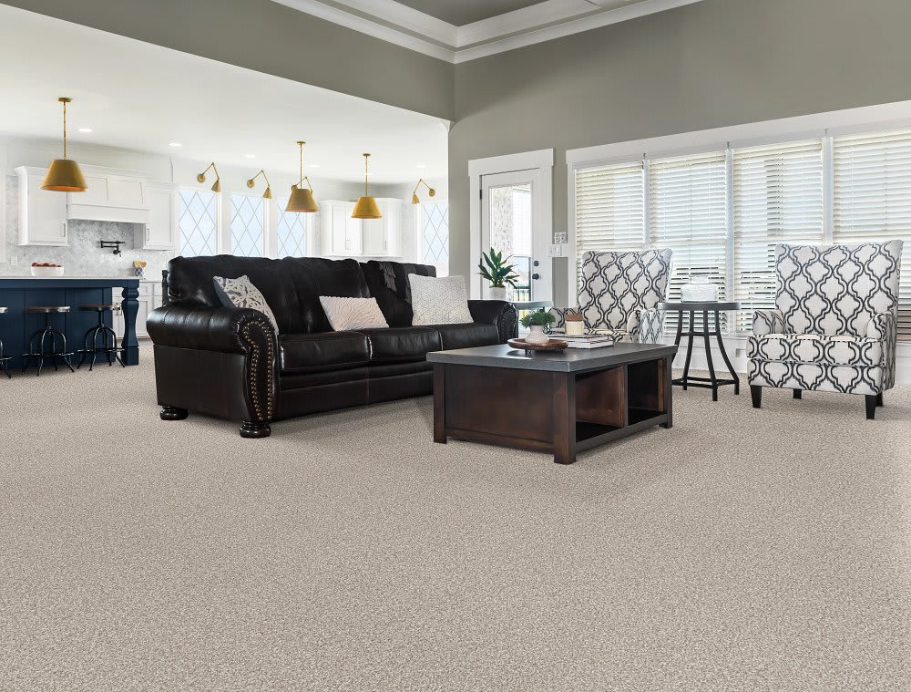 Terra Nova carpet by Anderson Tuftex