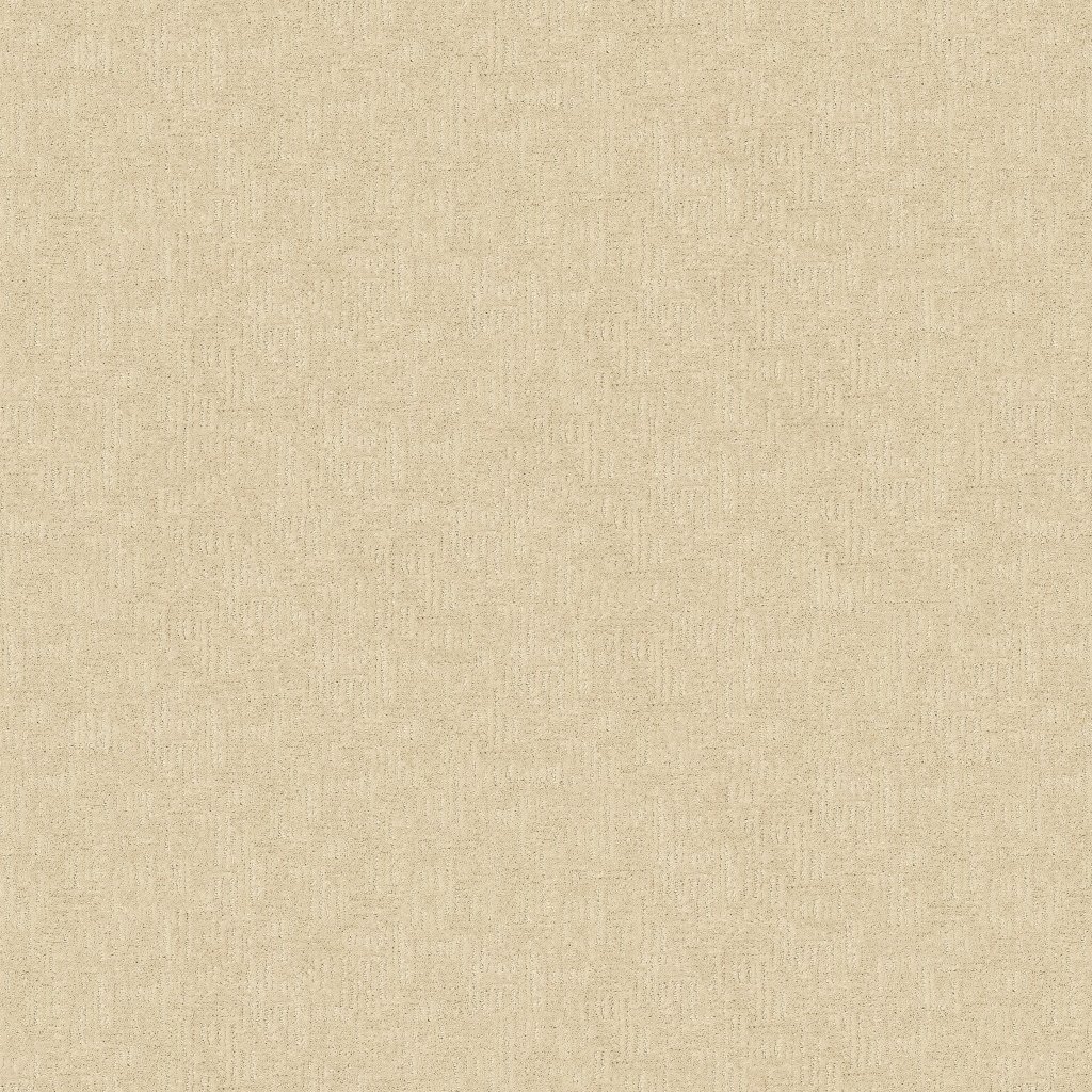 Random Nature II carpet by Mohawk