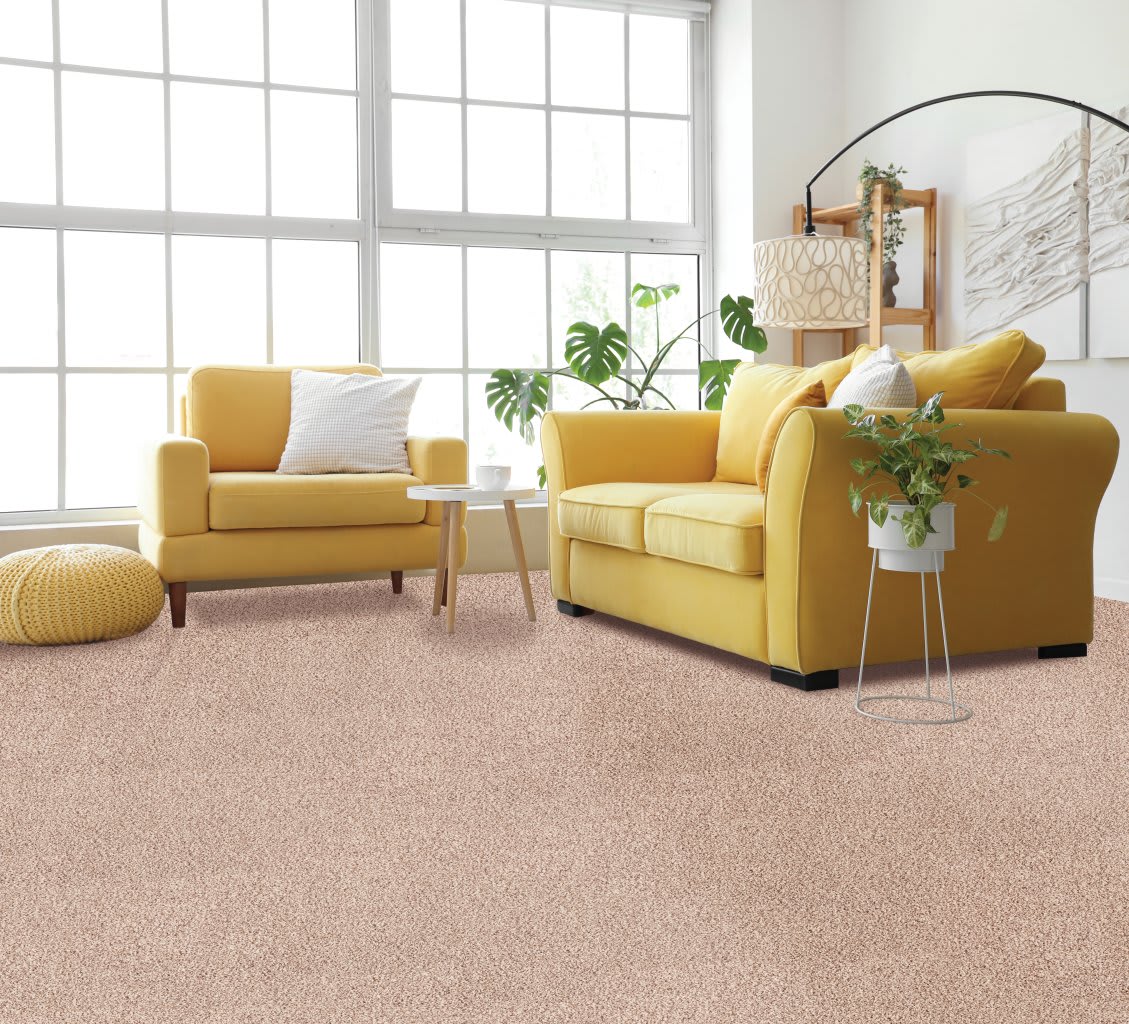 Natural Selection II carpet by Mohawk
