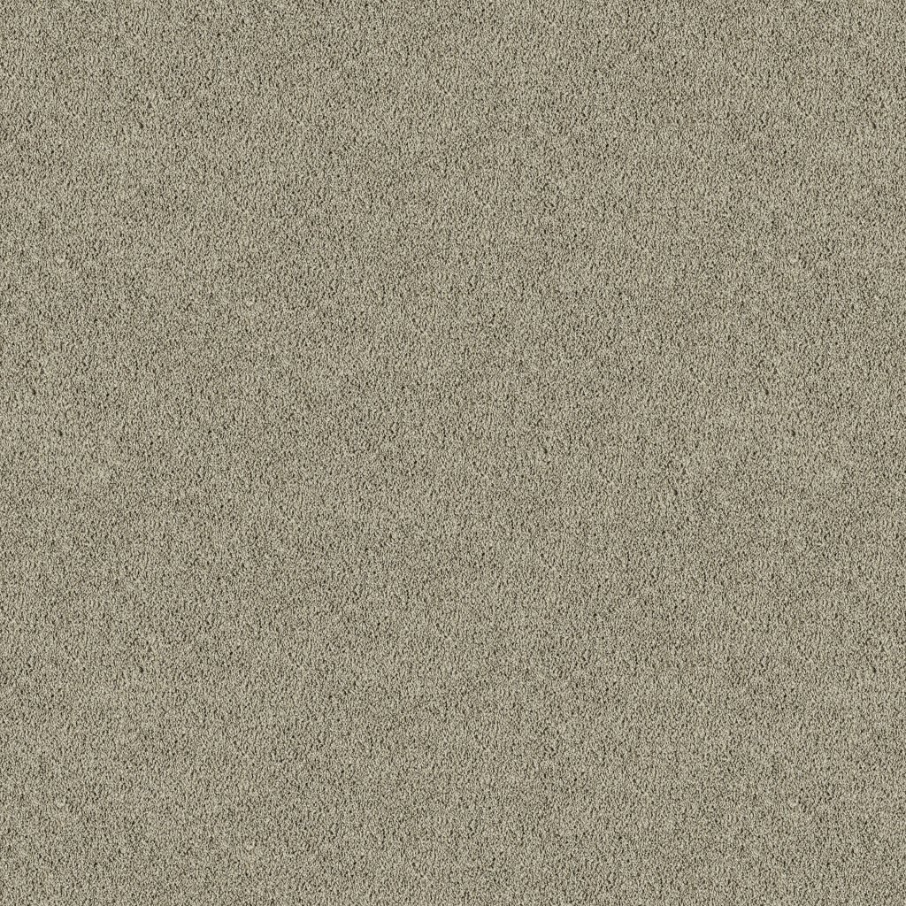 Classic Fit II carpet by Mohawk
