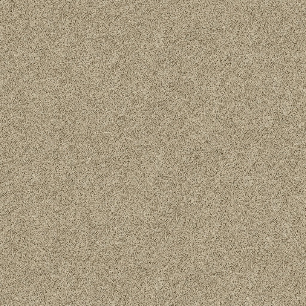 Classic Fit I carpet by Mohawk