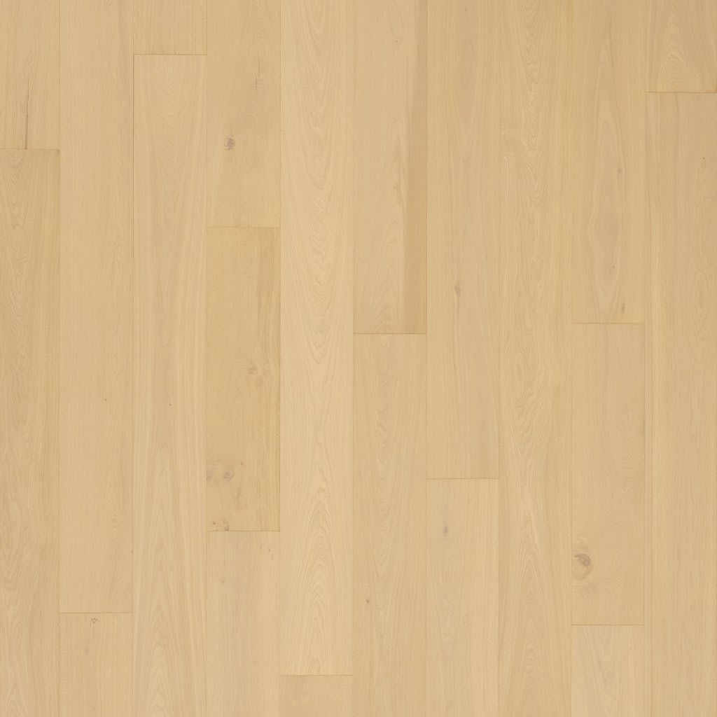 Madera Trace carpet by Mohawk