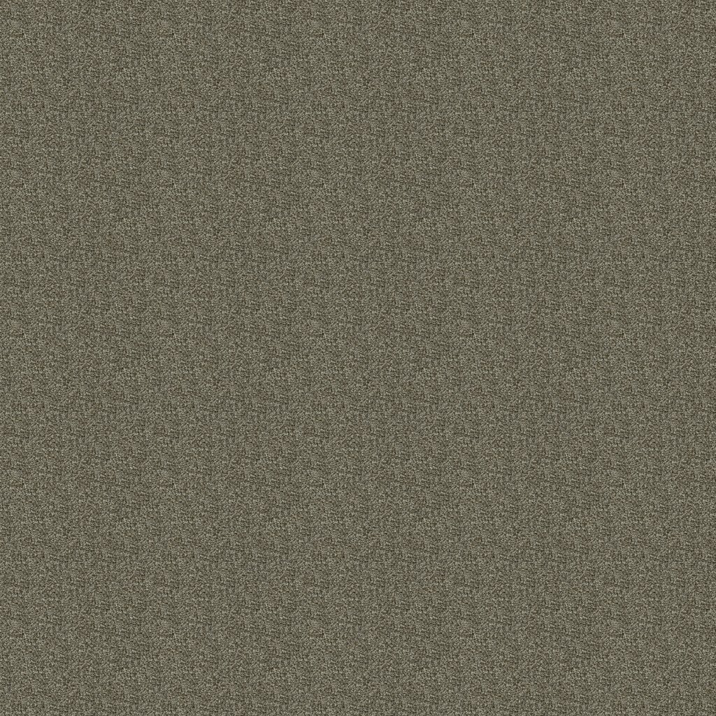 Polished Shades II carpet by Mohawk