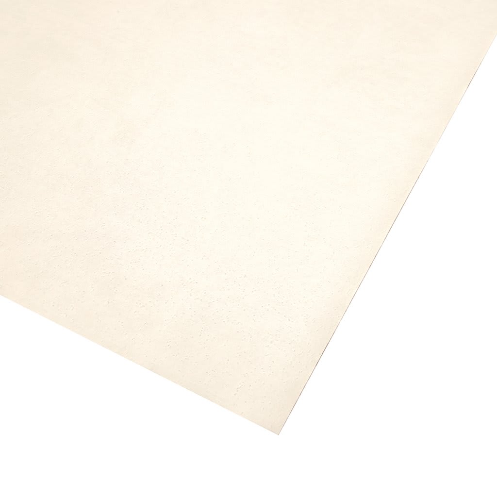 Wynn Point carpet by Mohawk