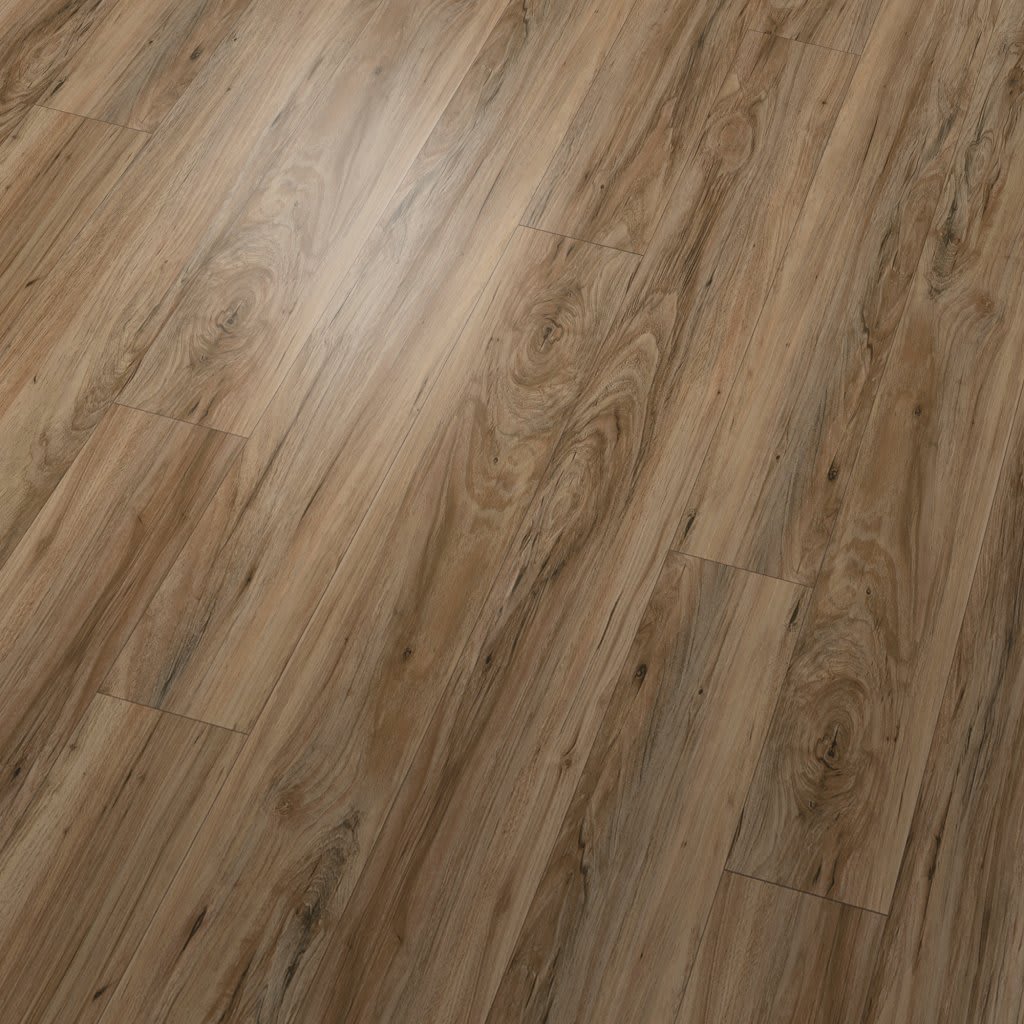 Bowman II carpet by Mohawk
