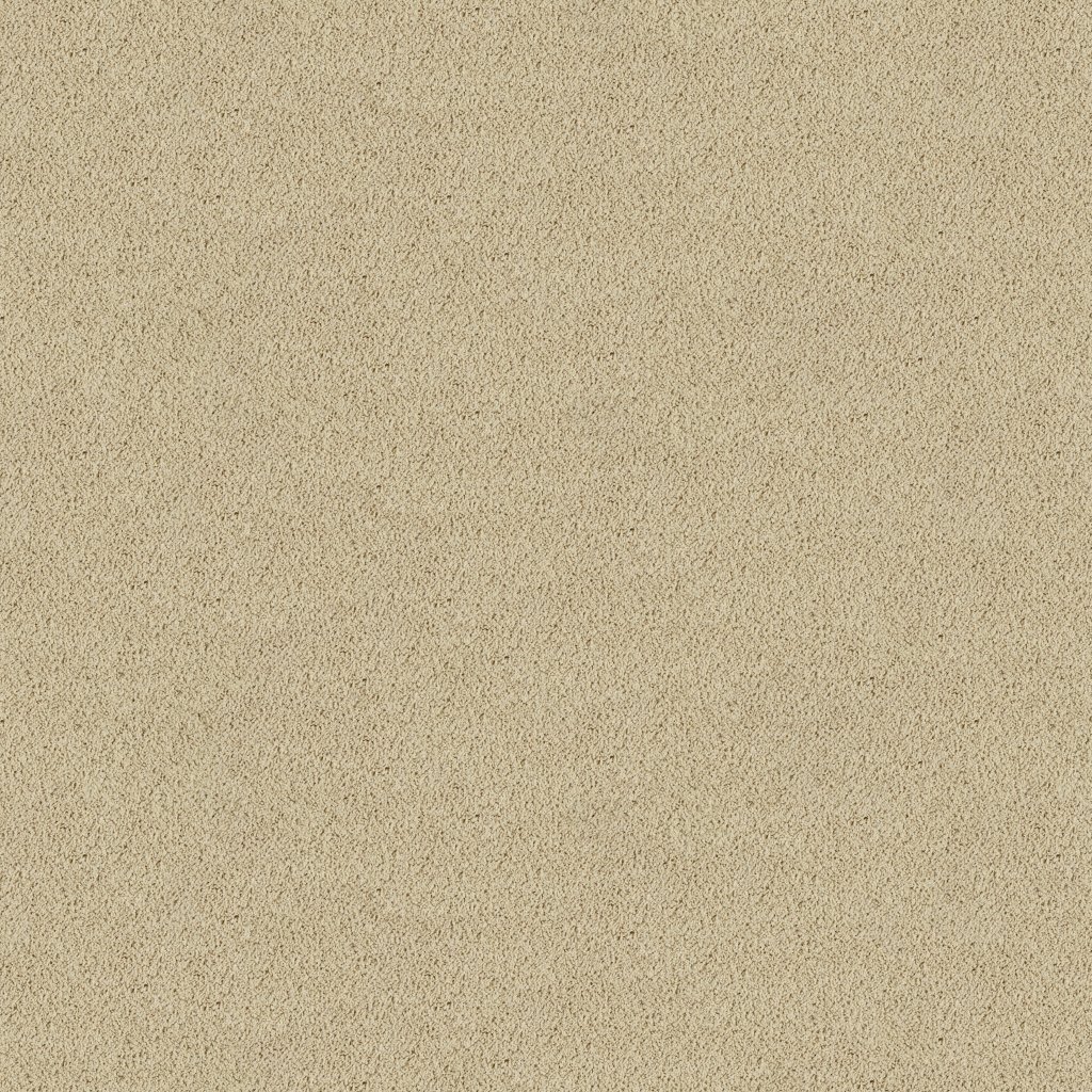 Classic Fit II carpet by Mohawk