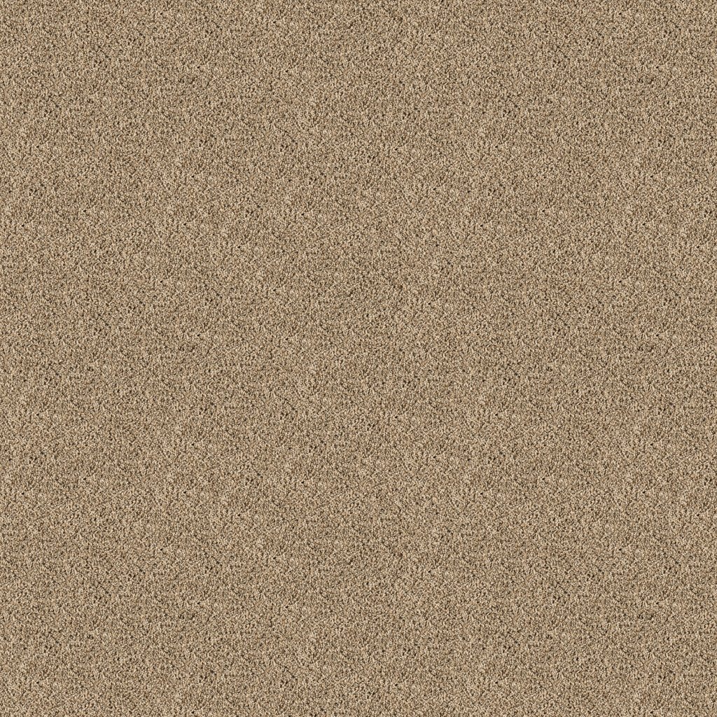 Classic Fit II carpet by Mohawk