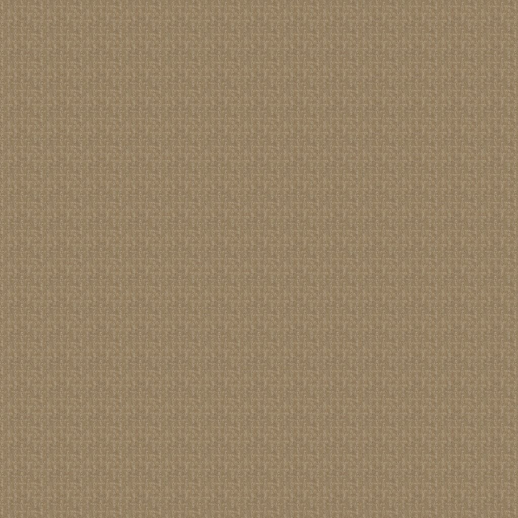 Timeless Form carpet by Mohawk