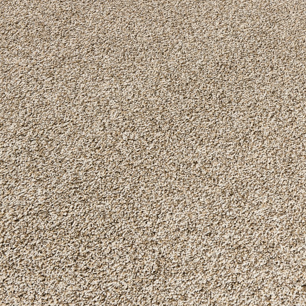 Purrsonality II carpet by Mohawk