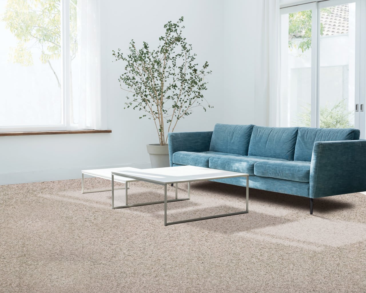 Canine Comfort carpet by Mohawk
