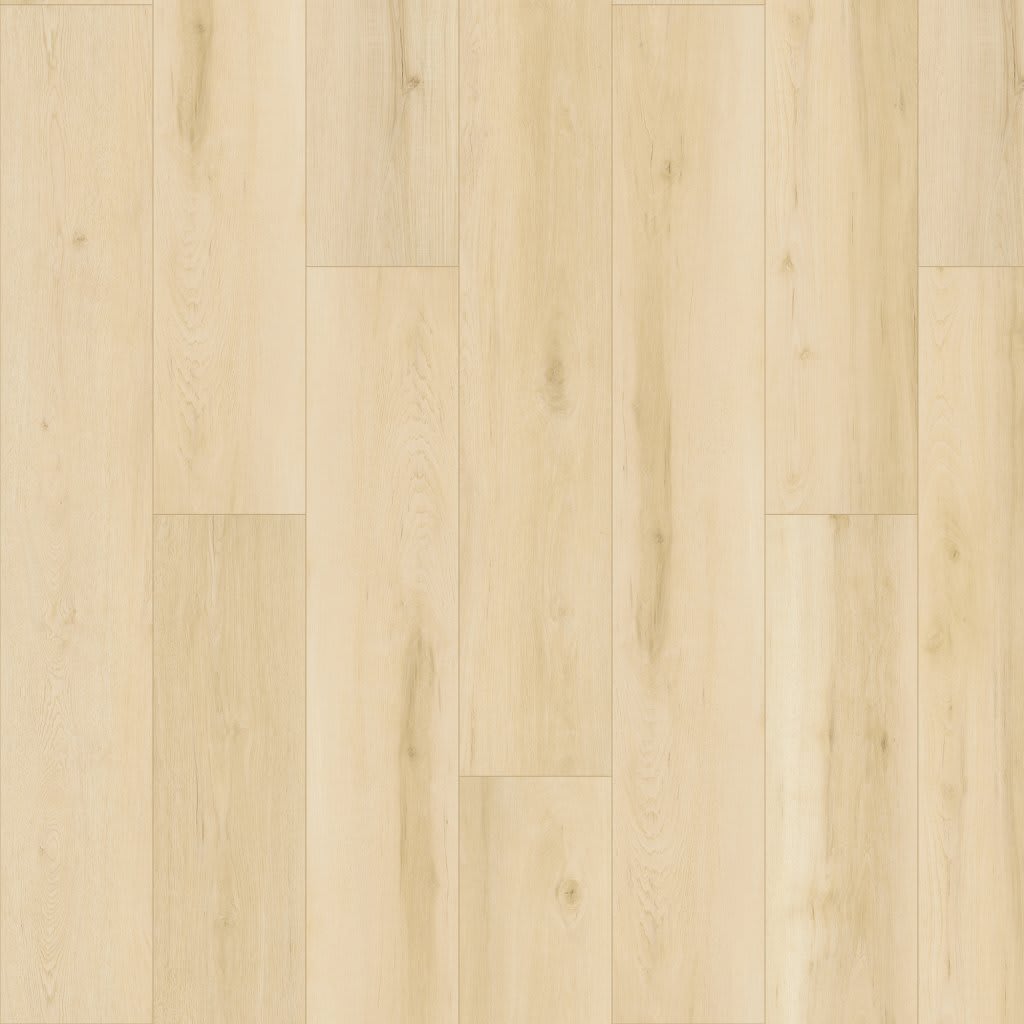Poppy Reserve carpet by Mohawk