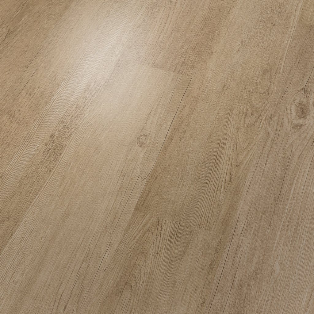 Brookbury carpet by Mohawk