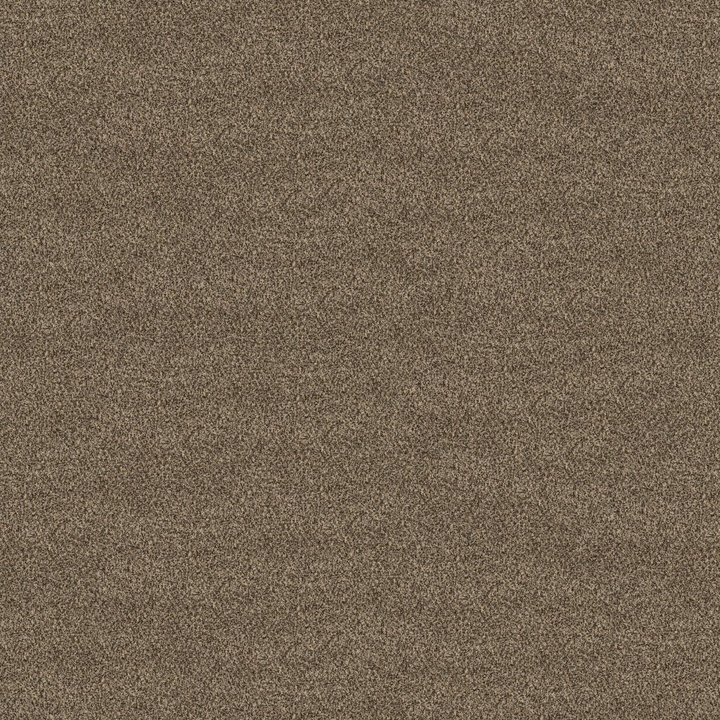 Refreshing Charm carpet by Mohawk