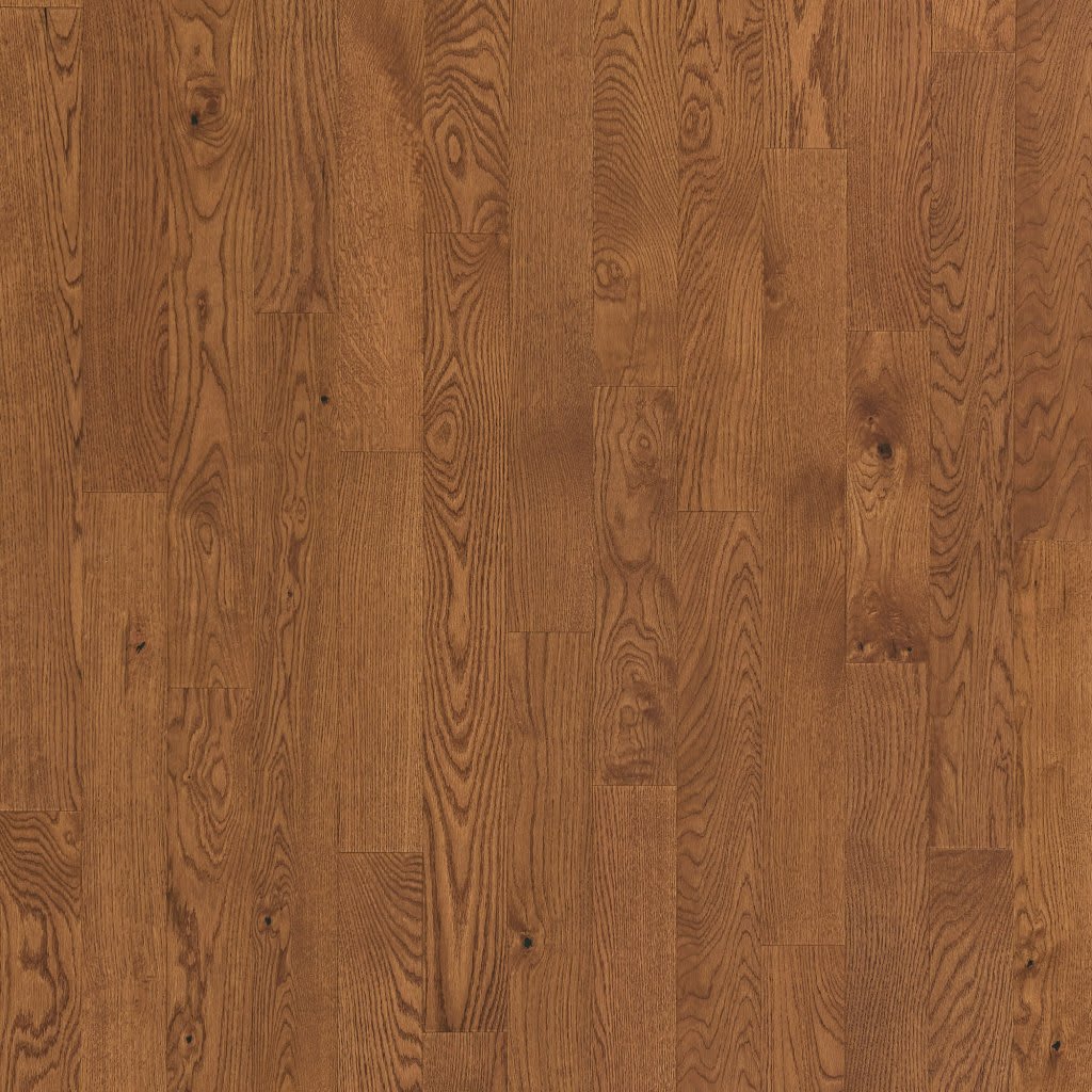 Magnolia Path carpet by Mohawk