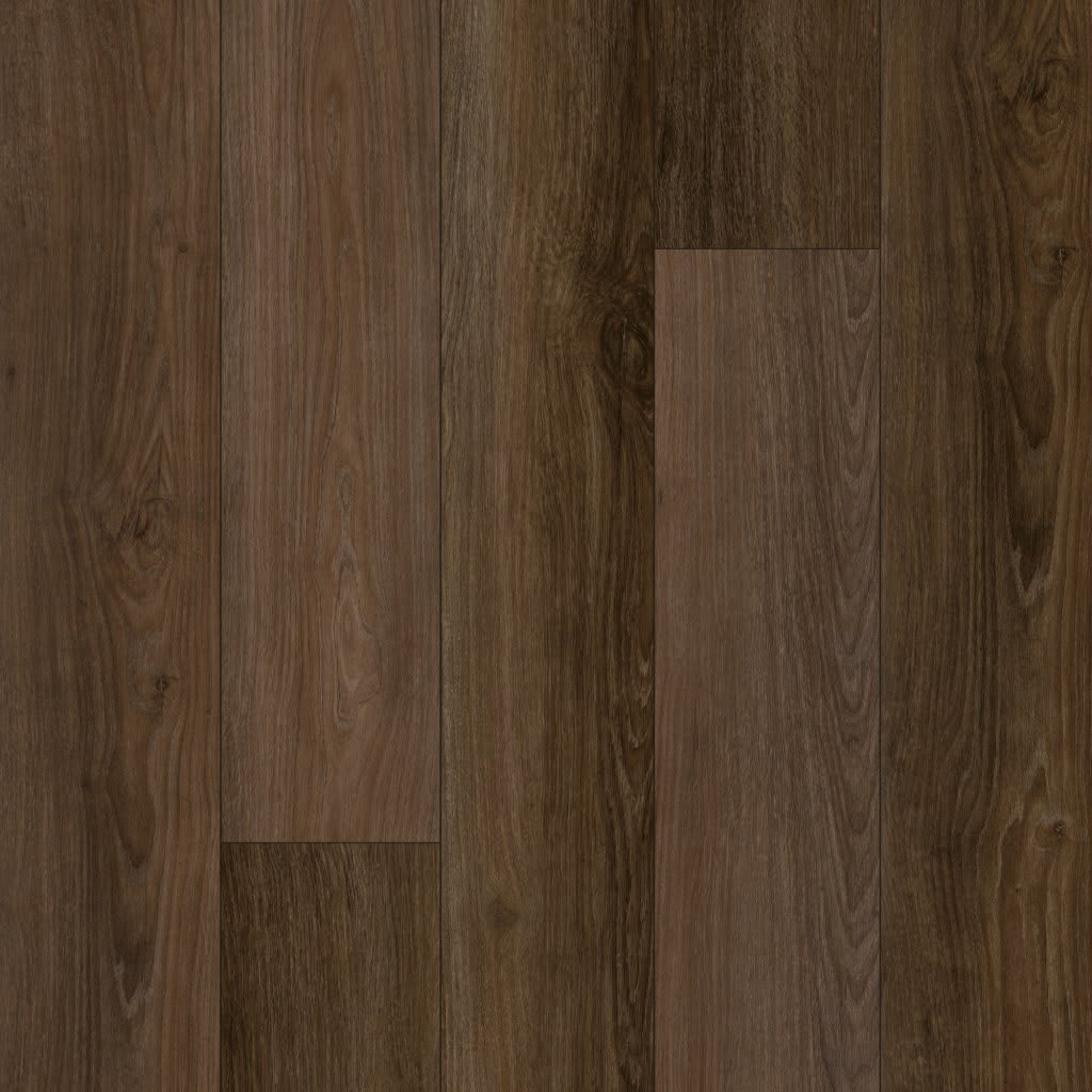 Discovery Ridge carpet by Mohawk
