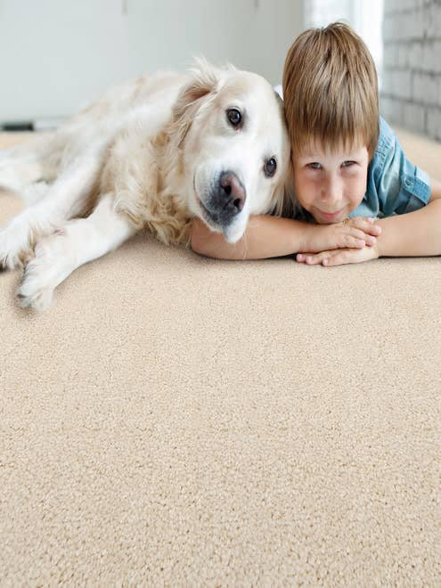 WESSEX I carpet by Stanton