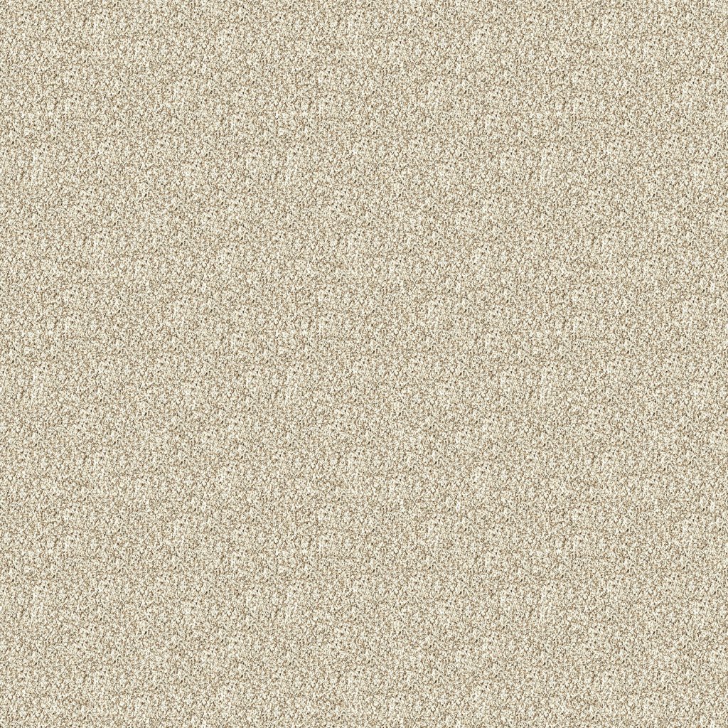 Assorted Elements I carpet by Mohawk