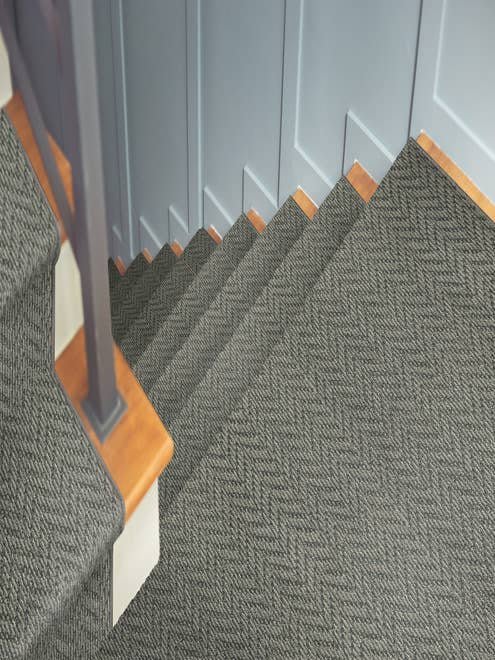 XANTHIPPE carpet by Stanton