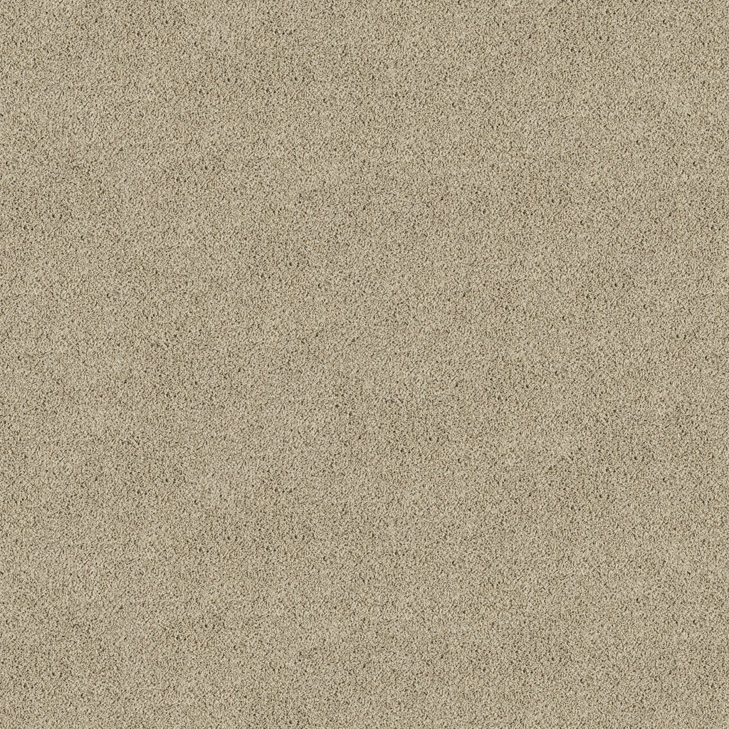 Sleek Tones carpet by Mohawk