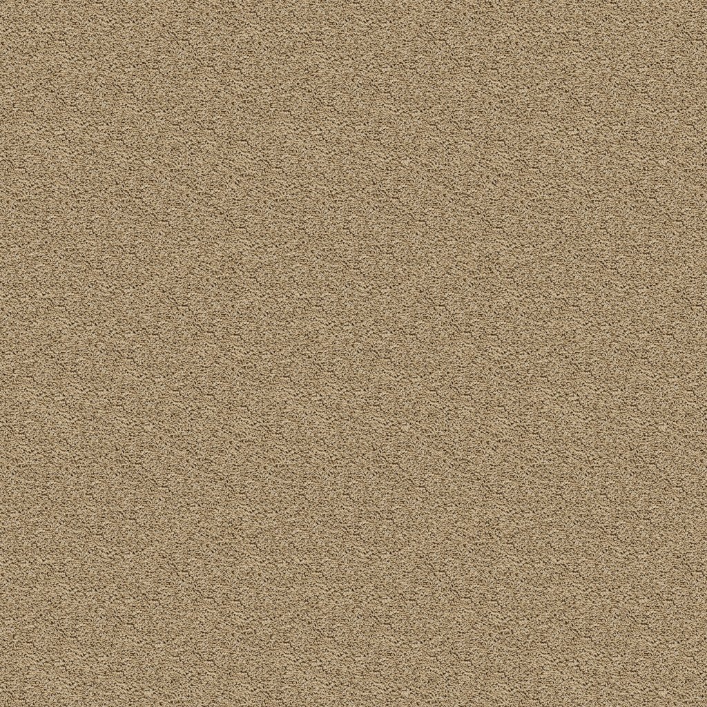 Classic Fit II carpet by Mohawk