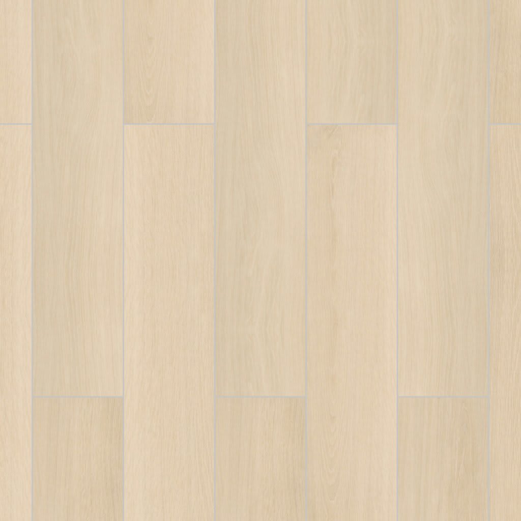 Placero carpet by MSI